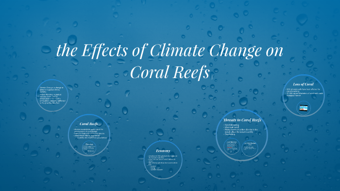 Climate Change and Coral Reefs by Alexis Duffy on Prezi