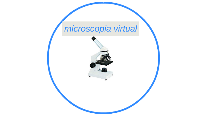 microscopia virtual by Livia N.B on Prezi