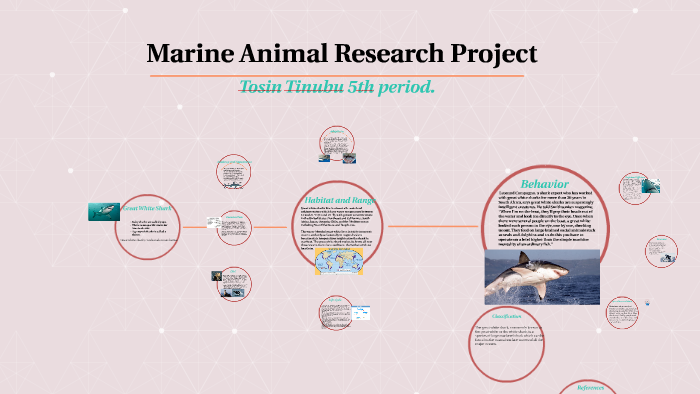 marine animal research project