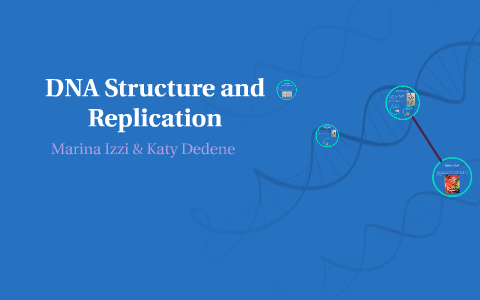 DNA structure and replication by Marina izzi on Prezi