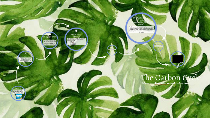 The Carbon Cycle by on Prezi