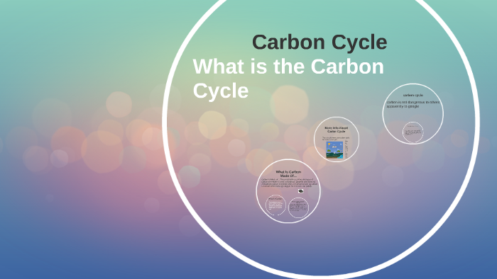 How The Carbon Cycle Works by martina martinez on Prezi