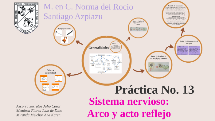 Diagrama del arco reflejo del reflejo rotuliano