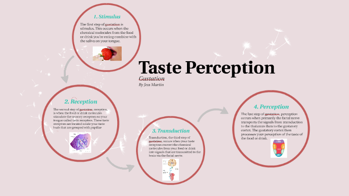 taste-perception-by-jess-martin