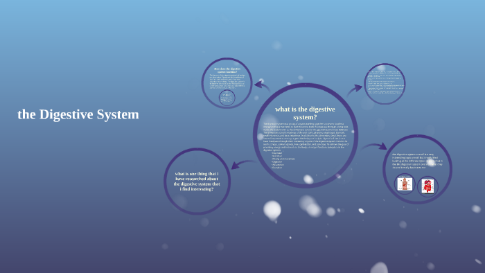 the Digestive System by Aaliyah Pillai on Prezi