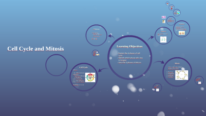Cell Cycle and Mitosis by Kelly Titus on Prezi