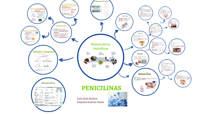 Amoxicilina dosis in english