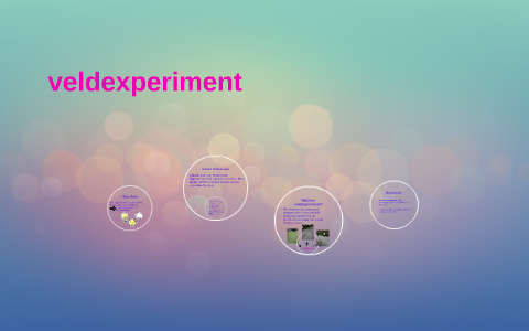 Veldexperiment By Sarah Wils On Prezi