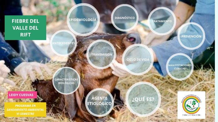 FIEBRE DEL VALLE DEL RIFT by leidy cuesvas on Prezi