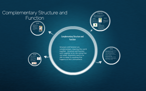 Complementary Structure and Function by Nicole Oneto on Prezi
