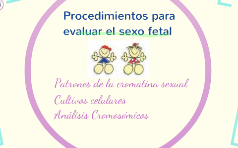 Procedimientos Para Evaluar El Sexo Fetal By Luisa F Corujo On Prezi