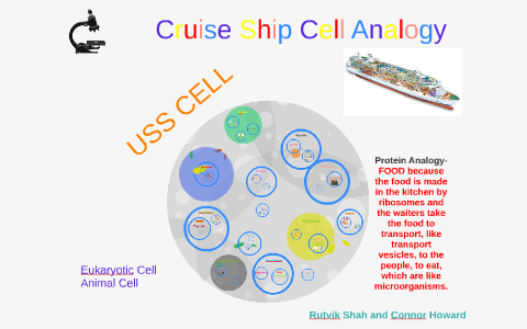 eukaryotic cell analogy