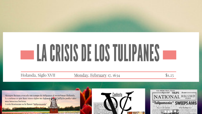 La Crisis De Los Tulipanes By Ana Carrasco On Prezi