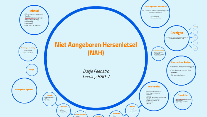 Niet Aangeboren Hersenletsel