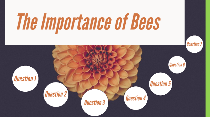 The Importance Of Bees by CAITLIN KEATING on Prezi