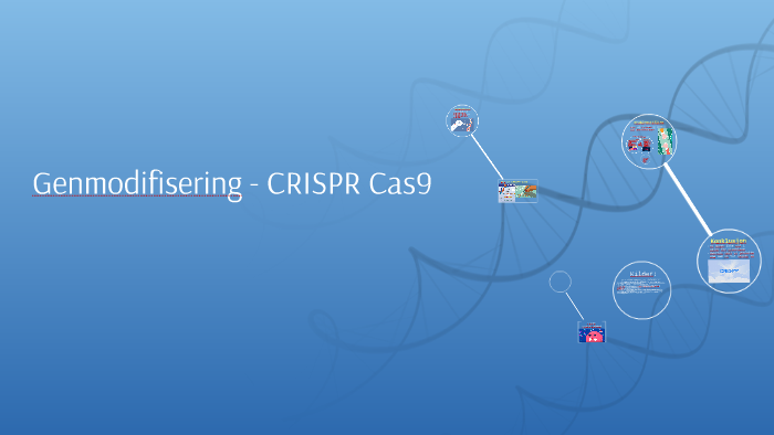 Genmodifisering CRISPR Cas9 By Simon Daniel On Prezi genmodifisering-crispr-cas9-by-simon-daniel-on-prezi