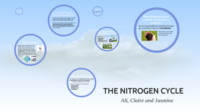 THE NITROGEN CYCLE by Ali Taylor on Prezi