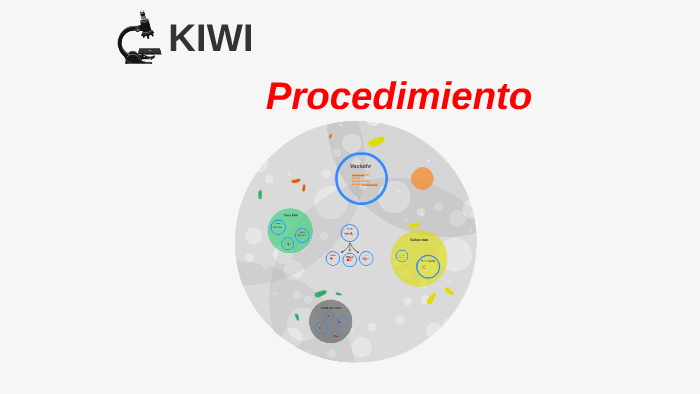 Kiwi By Ignacia Espinosa On Prezi