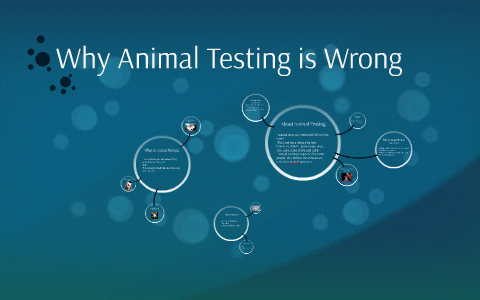 animal testing is wrong research paper