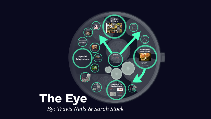 The Eye by Travis Neils on Prezi