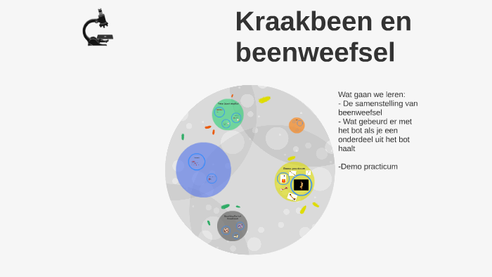 Kraakbeen en beenweefsel by Sharon van der Heijden