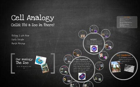 Cell Analogy By Darla Strader