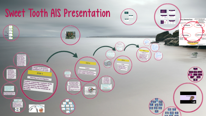 4 Stages in the systems development Life Cycle by chelsey muche on Prezi