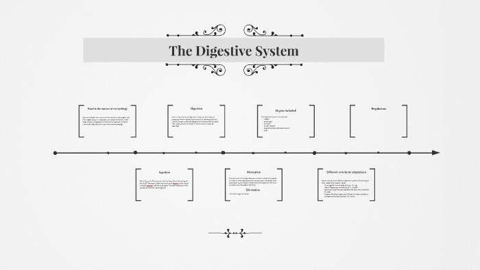 The Digestive System by Anna Burgess on Prezi
