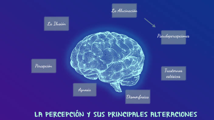 LA PERCEPCIÓN Y SUS PRINCIPALES ALTERACIONES By Galina Antonella Demera ...