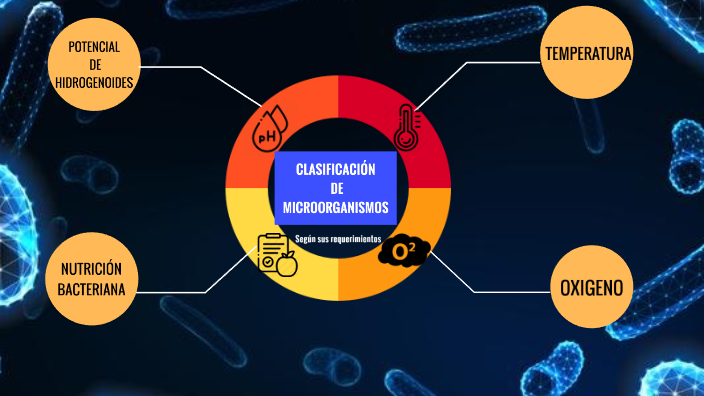 clasificacion de microorganismos by SANTY PEVE on Prezi