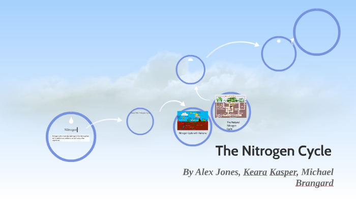The Nitrogen Cycle by Alexander Jones on Prezi