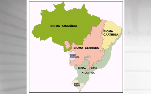 Biomas Brasileiros by Janaína Mendes da Silva on Prezi