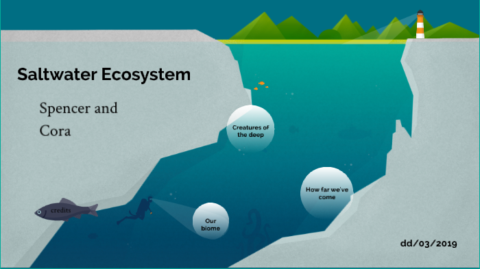 Saltwater Ecosystem by Cora Emonts on Prezi