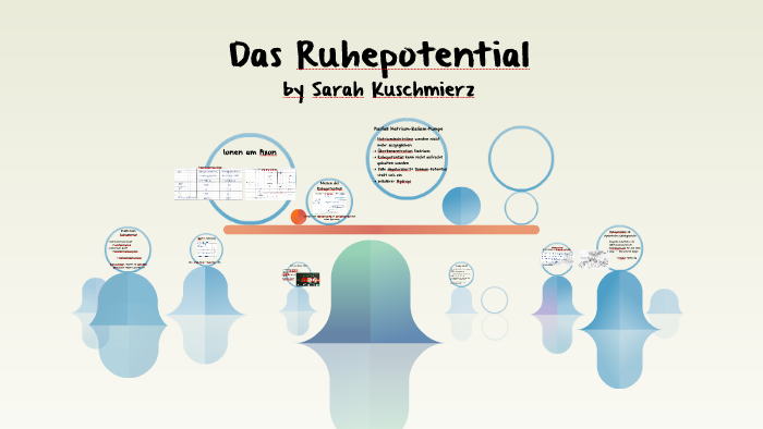 Was Ist Das Ruhepotential