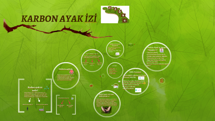 karbon ayak izi by zeynep ozay