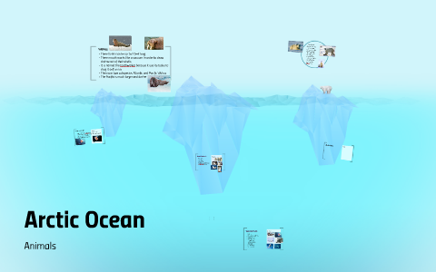 Arctic Ocean by Ethan Cyrille on Prezi