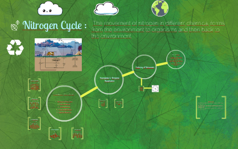 Nitrogen Cycle by Meaghan Jones on Prezi