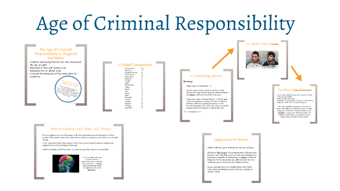 essay about lowering the age of criminal responsibility