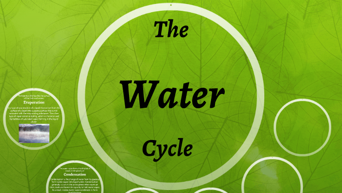 The Water Cycle by Alex Hernandez on Prezi
