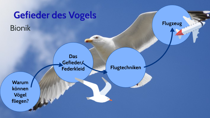 Fern Gesteuerte Vogel Simulation Schlag FlüGel Flugtaube Induktion Vogel Z8R6 