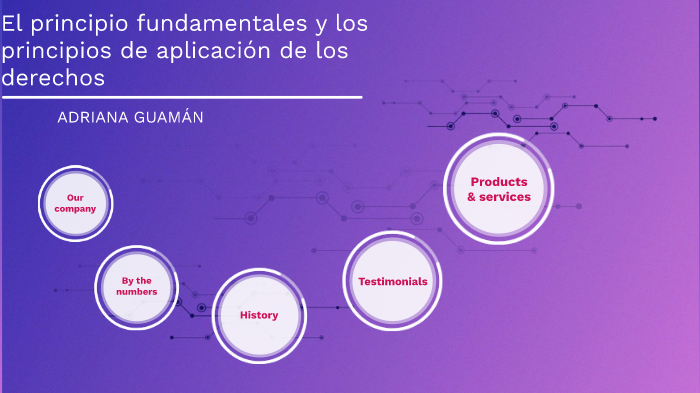 El Principio Fundamentales Y Los Principios De Aplicación De Los ...