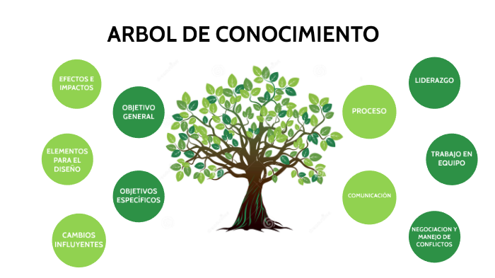 Como Hacer Un árbol Del Conocimiento