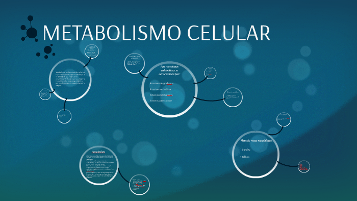 Metabolismo Celular By Sary Ruiz On Prezi