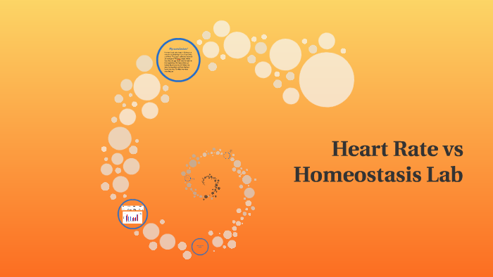 Heart Rate vs Homeostasis Lab by Madison Lincoln on Prezi