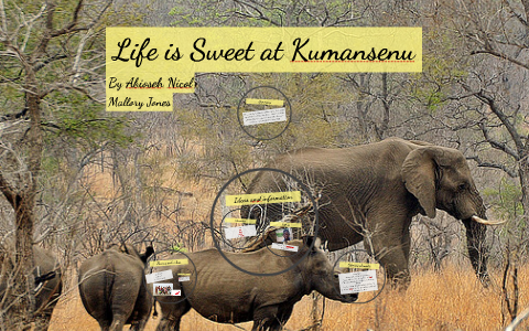 life is sweet at kumansenu essay