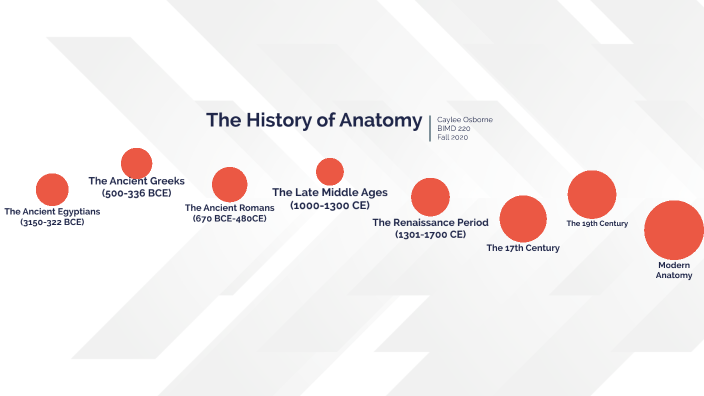 The History of Anatomy by Caylee Osborne on Prezi
