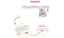prostata con adenoma mediano)