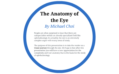 The Anatomy of the Eye by on Prezi