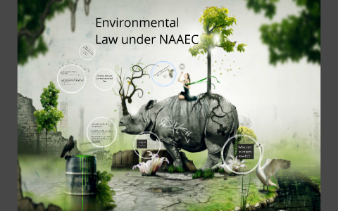 Sustainability visual data 6