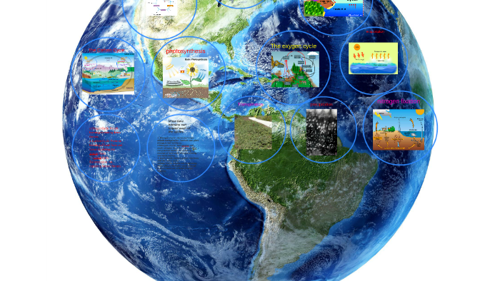 The Carbon Cycle by Jordan Allen on Prezi